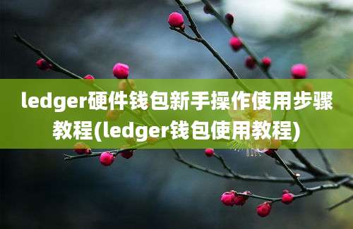 ledger硬件钱包新手操作使用步骤教程(ledger钱包使用教程)