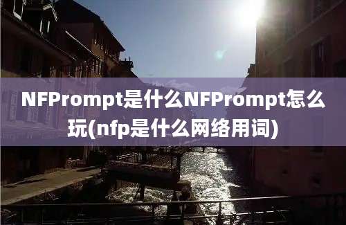 NFPrompt是什么NFPrompt怎么玩(nfp是什么网络用词)