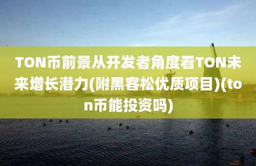 TON币前景从开发者角度看TON未来增长潜力(附黑客松优质项目)(ton币能投资吗)