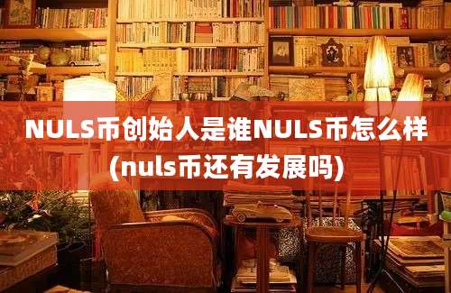 NULS币创始人是谁NULS币怎么样(nuls币还有发展吗)