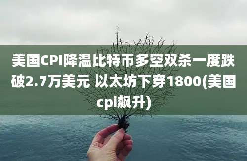 美国CPI降温比特币多空双杀一度跌破2.7万美元 以太坊下穿1800(美国cpi飙升)