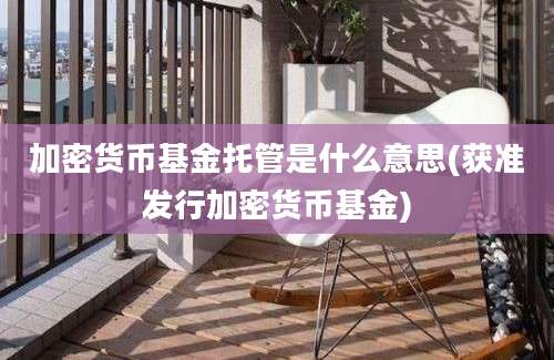 加密货币基金托管是什么意思(获准发行加密货币基金)