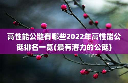 高性能公链有哪些2022年高性能公链排名一览(最有潜力的公链)