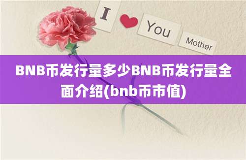 BNB币发行量多少BNB币发行量全面介绍(bnb币市值)