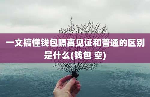 一文搞懂钱包隔离见证和普通的区别是什么(钱包 空)