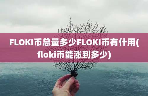 FLOKI币总量多少FLOKI币有什用(floki币能涨到多少)