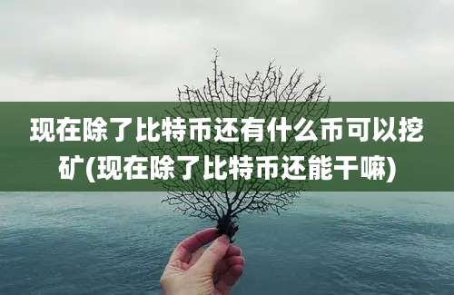 现在除了比特币还有什么币可以挖矿(现在除了比特币还能干嘛)