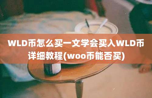 WLD币怎么买一文学会买入WLD币详细教程(woo币能否买)