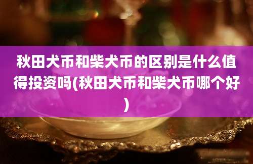 秋田犬币和柴犬币的区别是什么值得投资吗(秋田犬币和柴犬币哪个好)