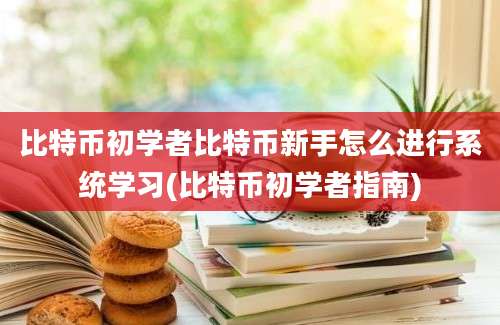 比特币初学者比特币新手怎么进行系统学习(比特币初学者指南)