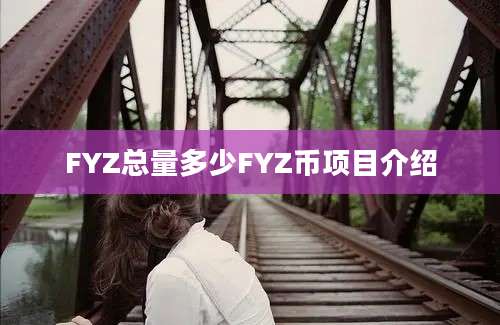 FYZ总量多少FYZ币项目介绍