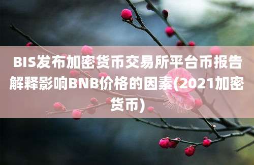 BIS发布加密货币交易所平台币报告解释影响BNB价格的因素(2021加密货币)