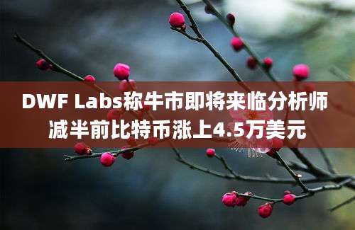 DWF Labs称牛市即将来临分析师 减半前比特币涨上4.5万美元