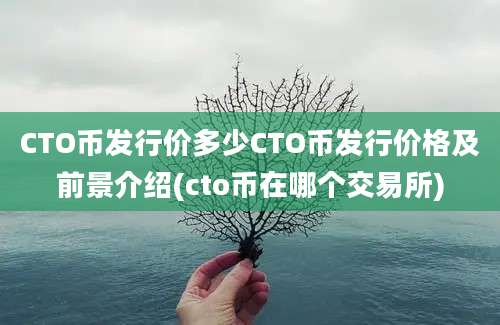 CTO币发行价多少CTO币发行价格及前景介绍(cto币在哪个交易所)