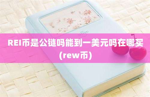 REI币是公链吗能到一美元吗在哪买(rew币)