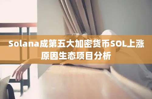 Solana成第五大加密货币SOL上涨原因生态项目分析