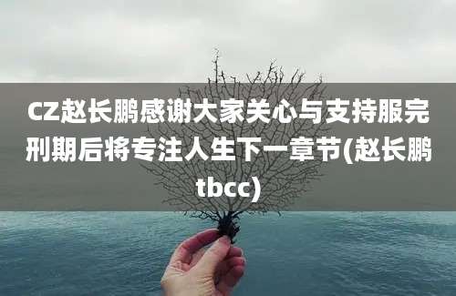 CZ赵长鹏感谢大家关心与支持服完刑期后将专注人生下一章节(赵长鹏tbcc)