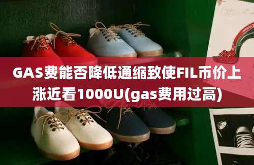 GAS费能否降低通缩致使FIL币价上涨近看1000U(gas费用过高)