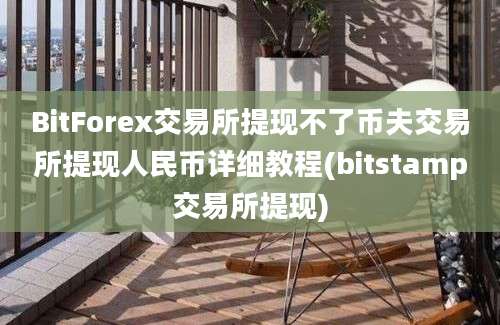 BitForex交易所提现不了币夫交易所提现人民币详细教程(bitstamp交易所提现)