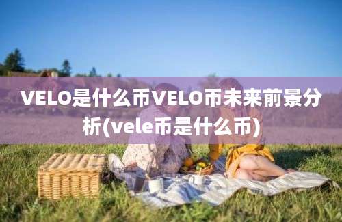 VELO是什么币VELO币未来前景分析(vele币是什么币)