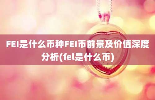 FEI是什么币种FEI币前景及价值深度分析(fel是什么币)