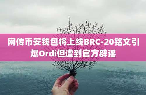 网传币安钱包将上线BRC-20铭文引爆Ordi但遭到官方辟谣