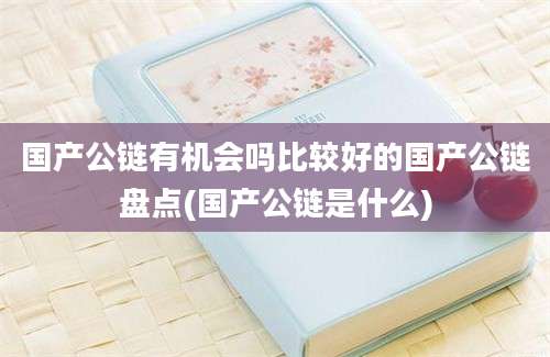 国产公链有机会吗比较好的国产公链盘点(国产公链是什么)