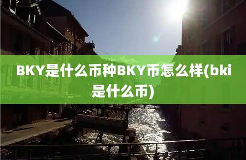 BKY是什么币种BKY币怎么样(bki是什么币)