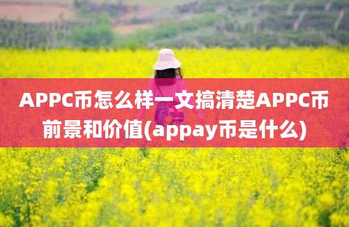 APPC币怎么样一文搞清楚APPC币前景和价值(appay币是什么)