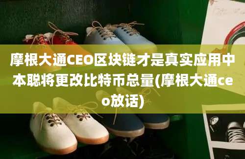 摩根大通CEO区块链才是真实应用中本聪将更改比特币总量(摩根大通ceo放话)