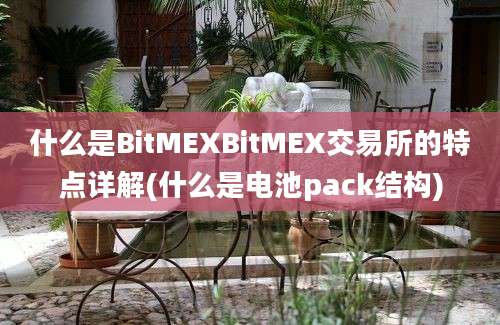 什么是BitMEXBitMEX交易所的特点详解(什么是电池pack结构)