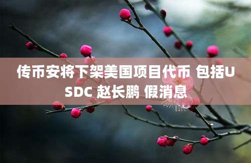 传币安将下架美国项目代币 包括USDC 赵长鹏 假消息