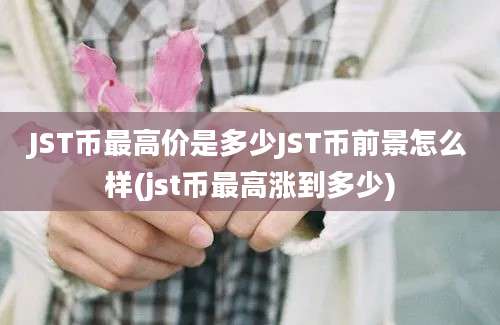 JST币最高价是多少JST币前景怎么样(jst币最高涨到多少)