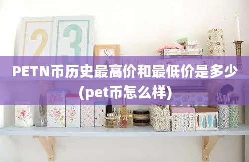 PETN币历史最高价和最低价是多少(pet币怎么样)