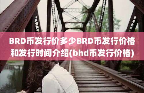 BRD币发行价多少BRD币发行价格和发行时间介绍(bhd币发行价格)