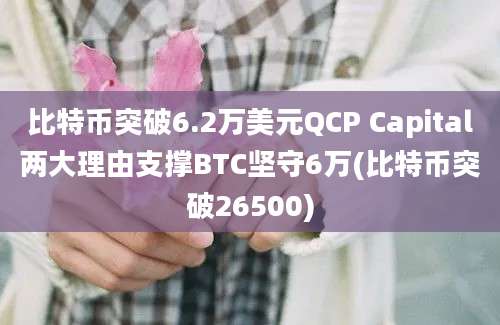 比特币突破6.2万美元QCP Capital两大理由支撑BTC坚守6万(比特币突破26500)