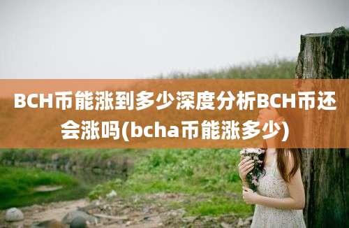 BCH币能涨到多少深度分析BCH币还会涨吗(bcha币能涨多少)