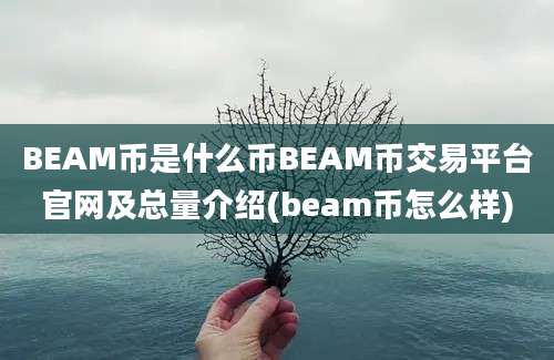 BEAM币是什么币BEAM币交易平台官网及总量介绍(beam币怎么样)