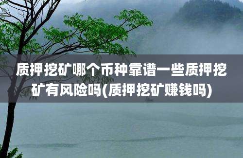 质押挖矿哪个币种靠谱一些质押挖矿有风险吗(质押挖矿赚钱吗)