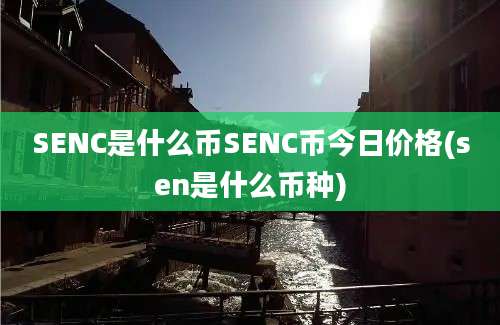 SENC是什么币SENC币今日价格(sen是什么币种)