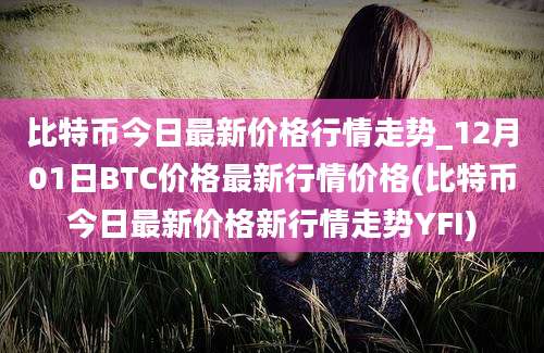 比特币今日最新价格行情走势_12月01日BTC价格最新行情价格(比特币今日最新价格新行情走势YFI)