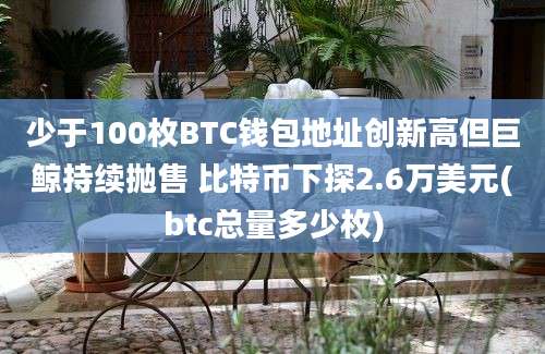 少于100枚BTC钱包地址创新高但巨鲸持续抛售 比特币下探2.6万美元(btc总量多少枚)