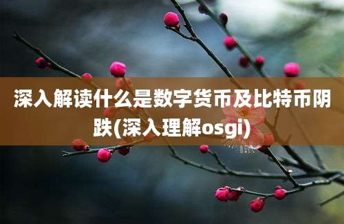 深入解读什么是数字货币及比特币阴跌(深入理解osgi)