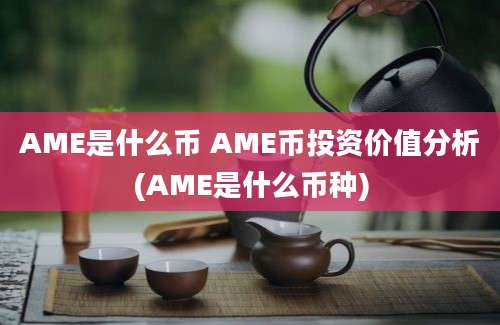 AME是什么币 AME币投资价值分析(AME是什么币种)