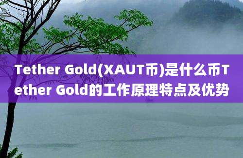 Tether Gold(XAUT币)是什么币Tether Gold的工作原理特点及优势