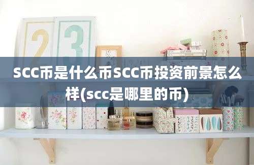 SCC币是什么币SCC币投资前景怎么样(scc是哪里的币)