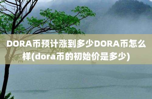 DORA币预计涨到多少DORA币怎么样(dora币的初始价是多少)