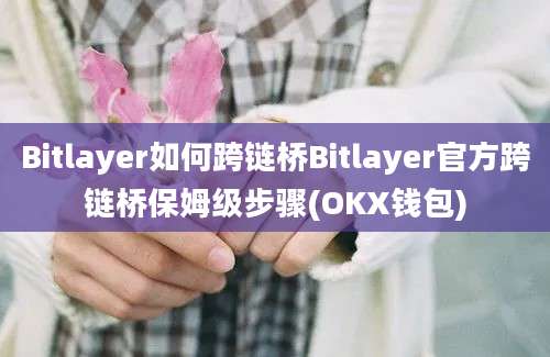 Bitlayer如何跨链桥Bitlayer官方跨链桥保姆级步骤(OKX钱包)