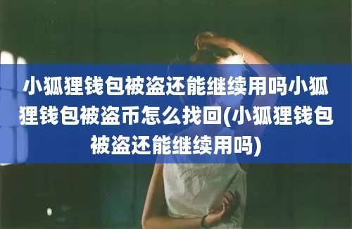 小狐狸钱包被盗还能继续用吗小狐狸钱包被盗币怎么找回(小狐狸钱包被盗还能继续用吗)