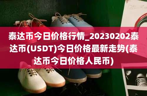 泰达币今日价格行情_20230202泰达币(USDT)今日价格最新走势(泰达币今日价格人民币)